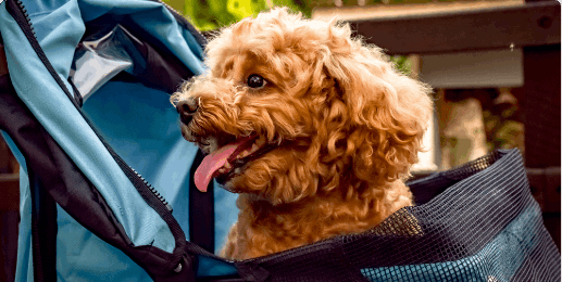 PROTECTIVE - AUSTONE Tires