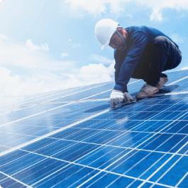 First batch of Green life cycle management